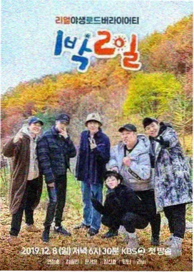 妻子的浪漫旅行